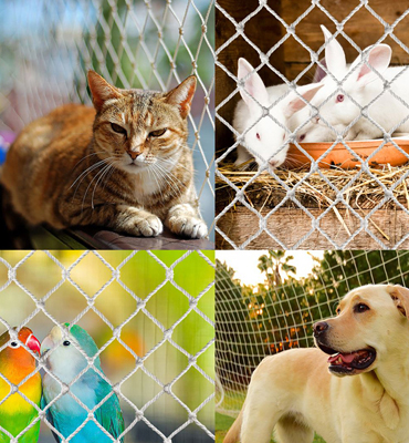 Pets Safety Nets in Hyderabad