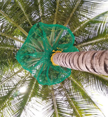 Coconut Safety Nets in Hyderabad